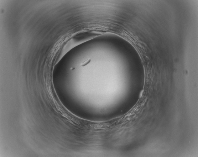 X0000073860241200608101257