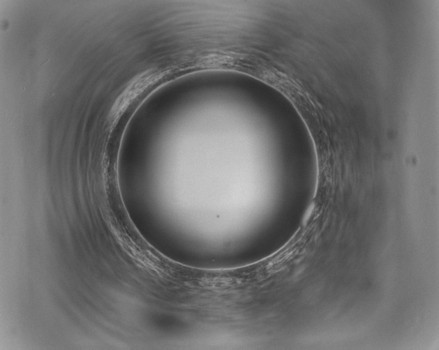 X0000073860242200608101257