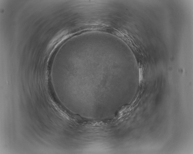 X0000073860243200608101257