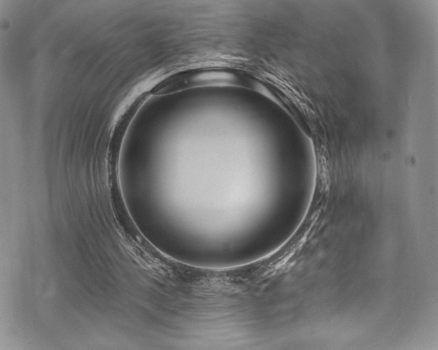 X0000073860244200608101257