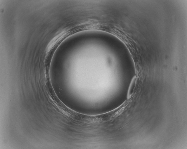 X0000073860245200608101257