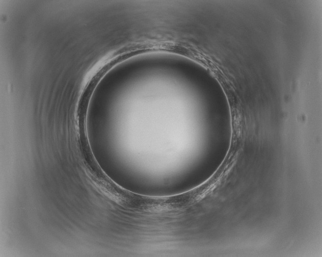 X0000073860246200608101257