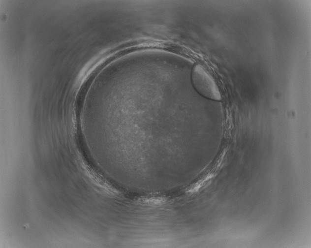 X0000073860247200608101257