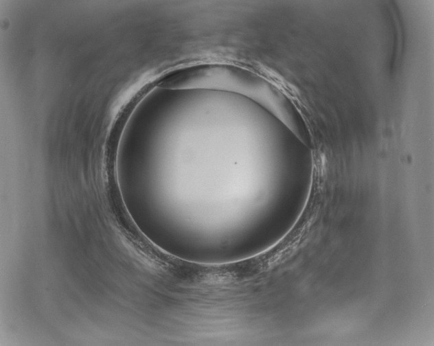 X0000073860248200608101257