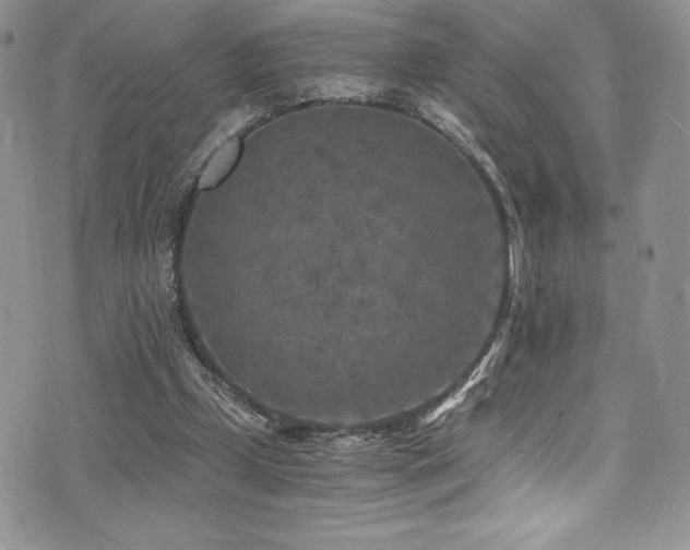 X0000073860249200608101258