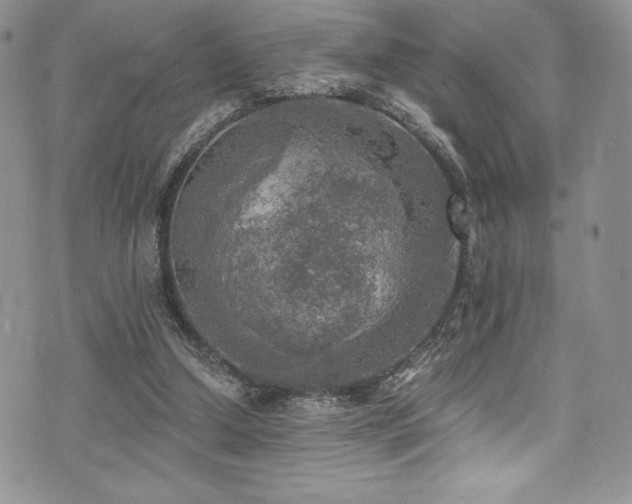 X0000073860250200608101258