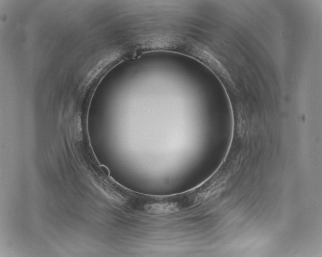 X0000073860251200608101258