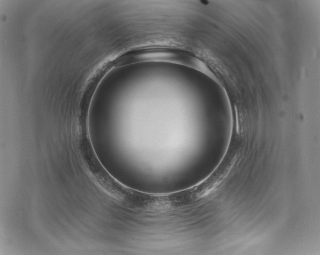 X0000073860252200608101258