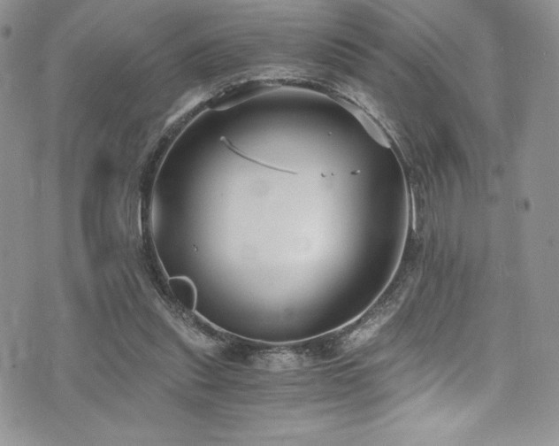 X0000073860253200608101258