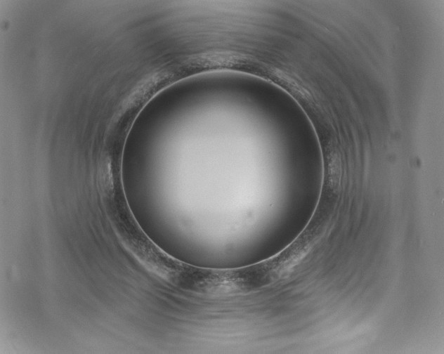 X0000073860254200608101258