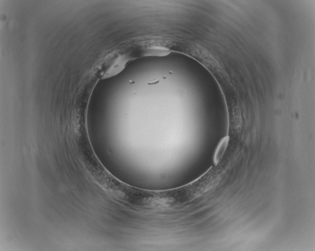 X0000073860255200608101258