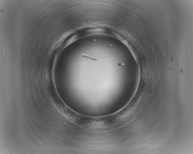 X0000073860256200608101258