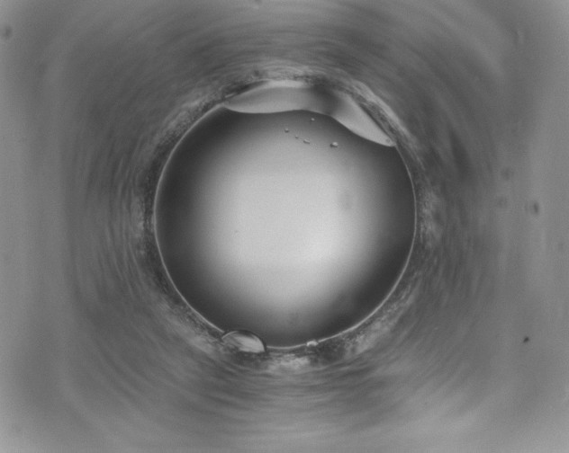 X0000073860257200608101258