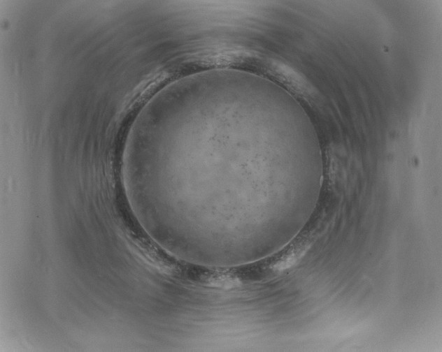 X0000073860258200608101258