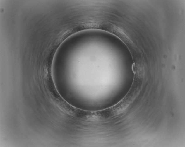 X0000073860259200608101258