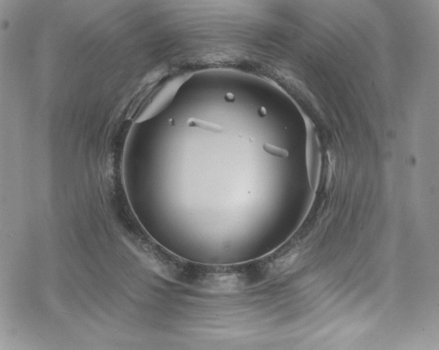 X0000073860260200608101258