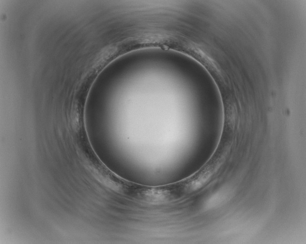 X0000073860261200608101258