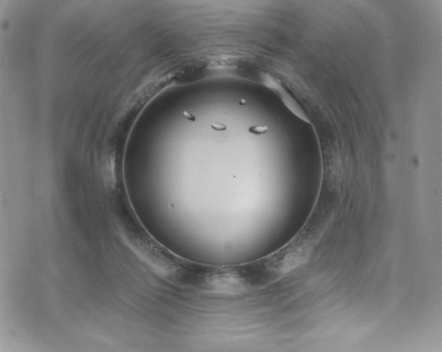 X0000073860262200608101258