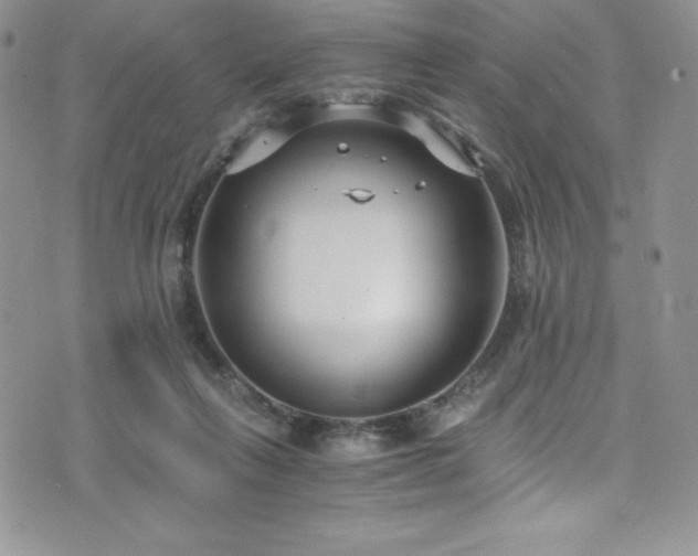 X0000073860263200608101258