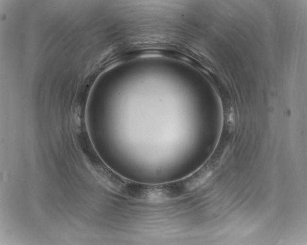 X0000073860264200608101258