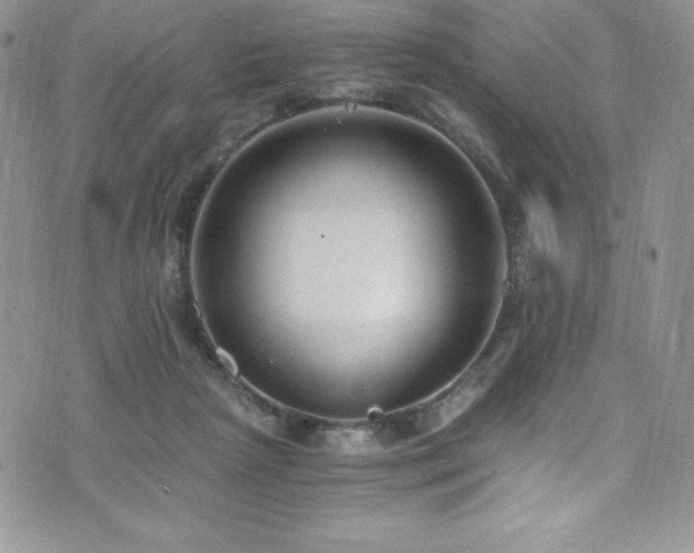 X0000073860265200608101258