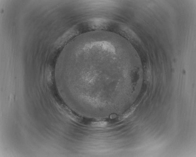 X0000073860266200608101258