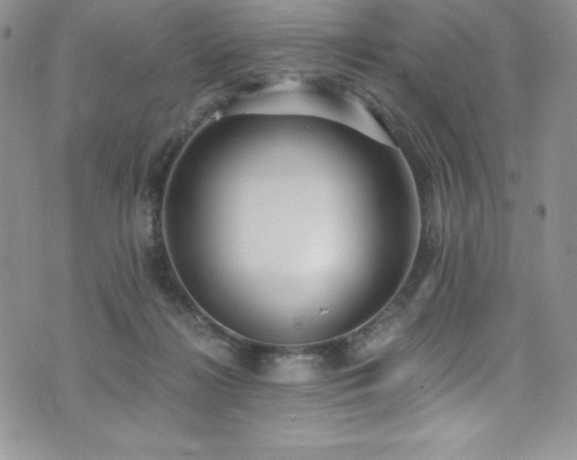 X0000073860268200608101258