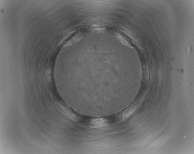 X0000073860269200608101258