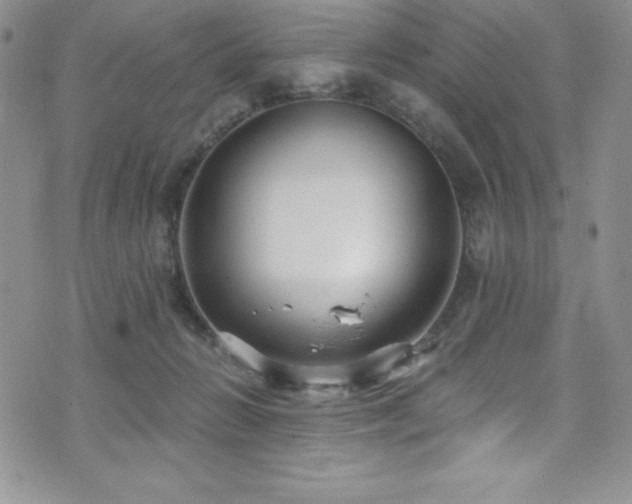 X0000073860270200608101258