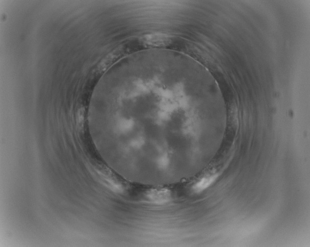 X0000073860271200608101258