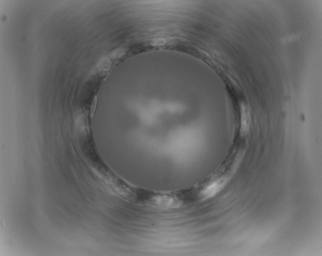 X0000073860272200608101258