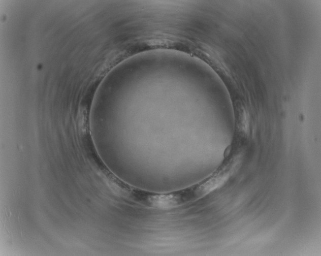 X0000073860273200608101258