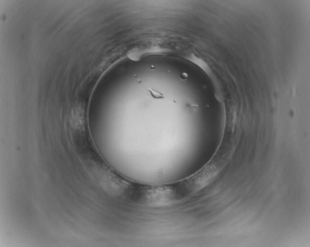 X0000073860274200608101258