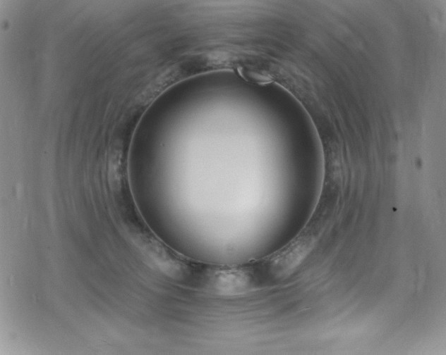 X0000073860275200608101258