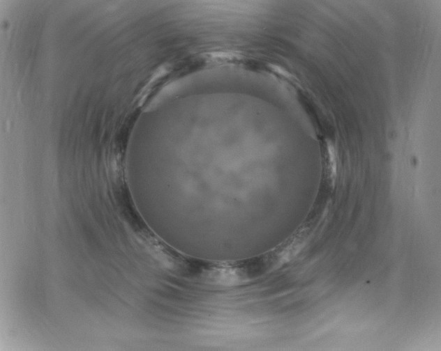 X0000073860276200608101258