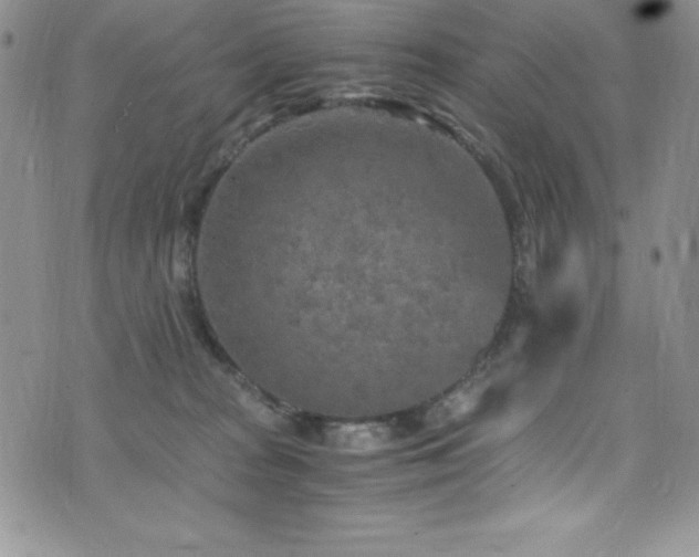 X0000073860277200608101258