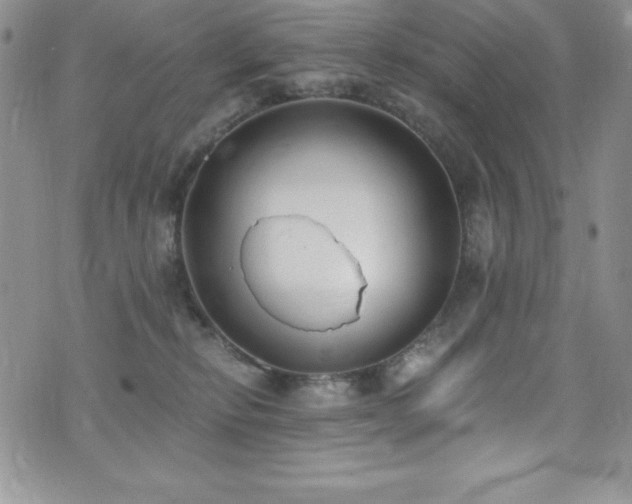 X0000073860278200608101258