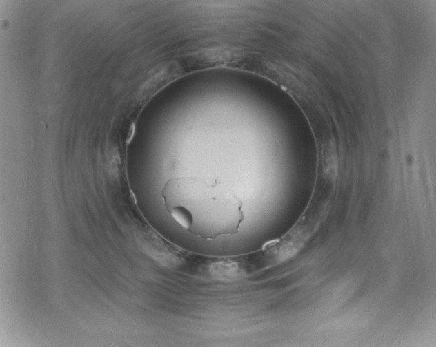 X0000073860279200608101258