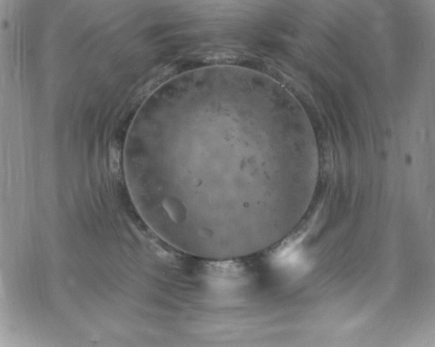 X0000073860281200608101258