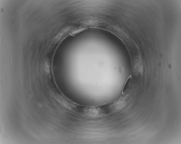 X0000073860282200608101258