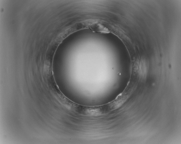 X0000073860283200608101258