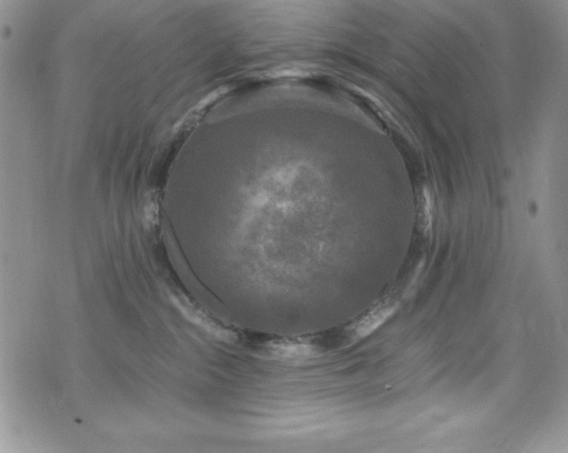 X0000073860284200608101258