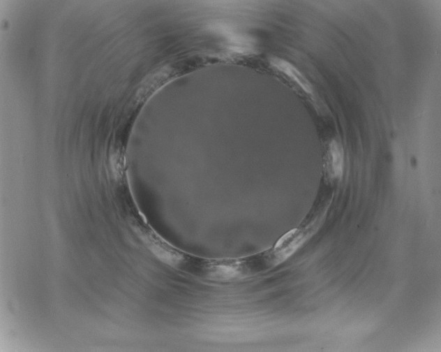 X0000073860285200608101258