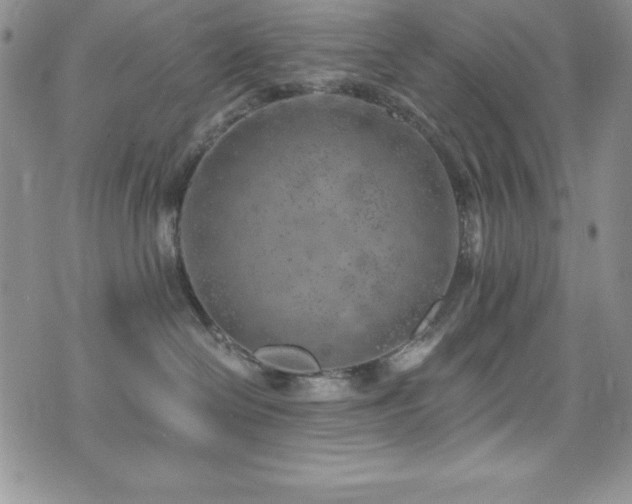 X0000073860286200608101258