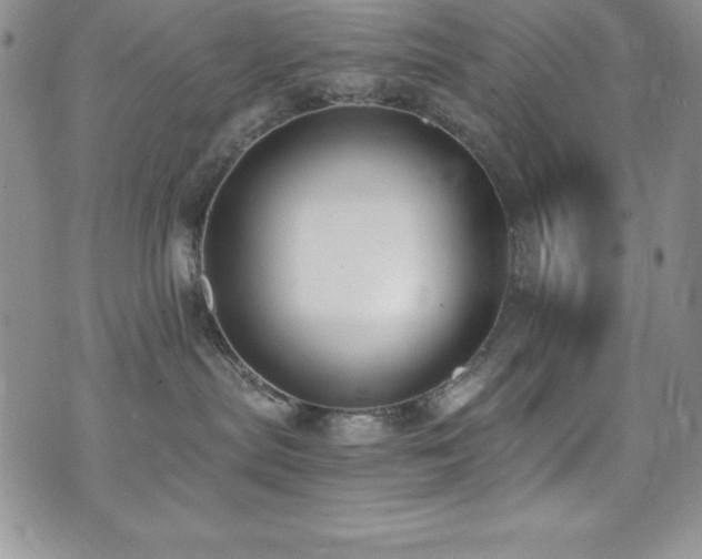 X0000073860287200608101258