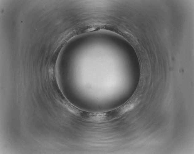 X0000073860288200608101258