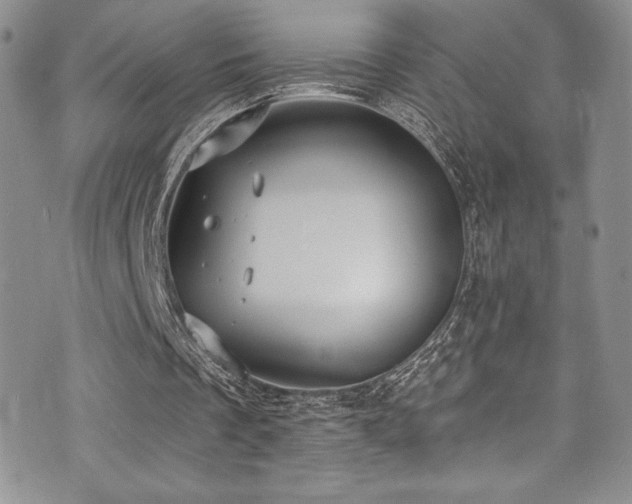 X0000073860289200608101257