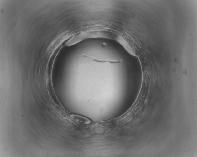 X0000073860290200608101257