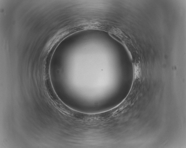 X0000073860291200608101257