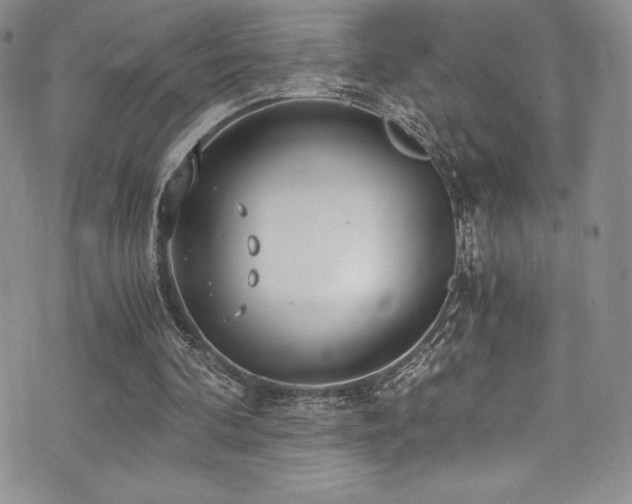 X0000073860292200608101257